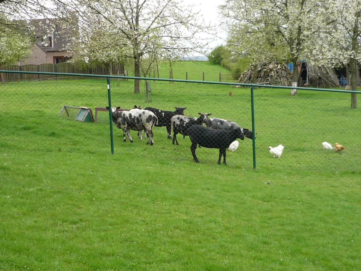 Hoeve Mingels Banholt Esterno foto