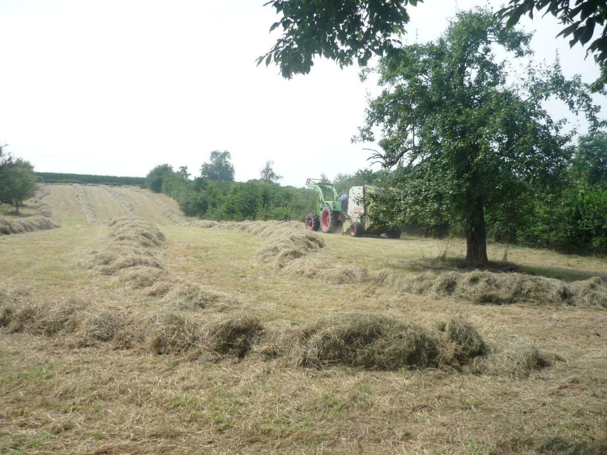 Hoeve Mingels Banholt Esterno foto